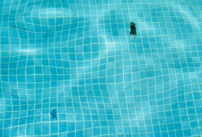 VRA63 - Indigo Lewin - Pool Rat (detail) 2012
